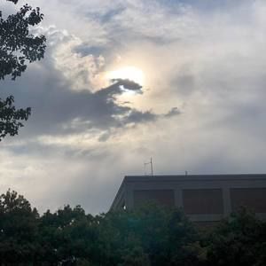 Meet your Posher, Tracie